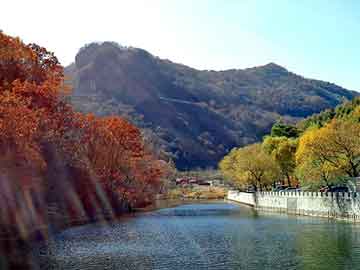 新澳天天免费资料大全，山东周村电热锅